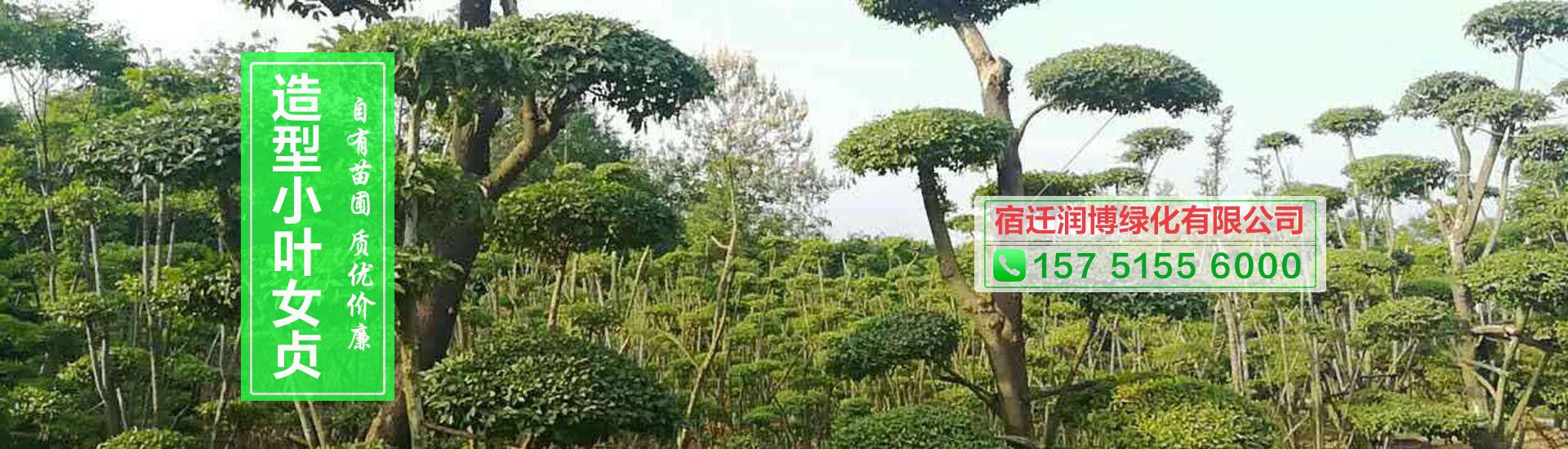 宿遷潤博綠化有限公司